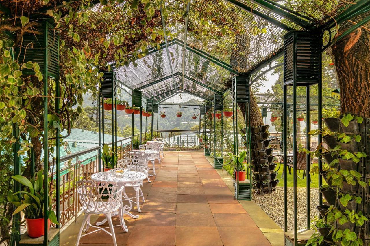 Shervani Hilltop Resort Nainital Dış mekan fotoğraf
