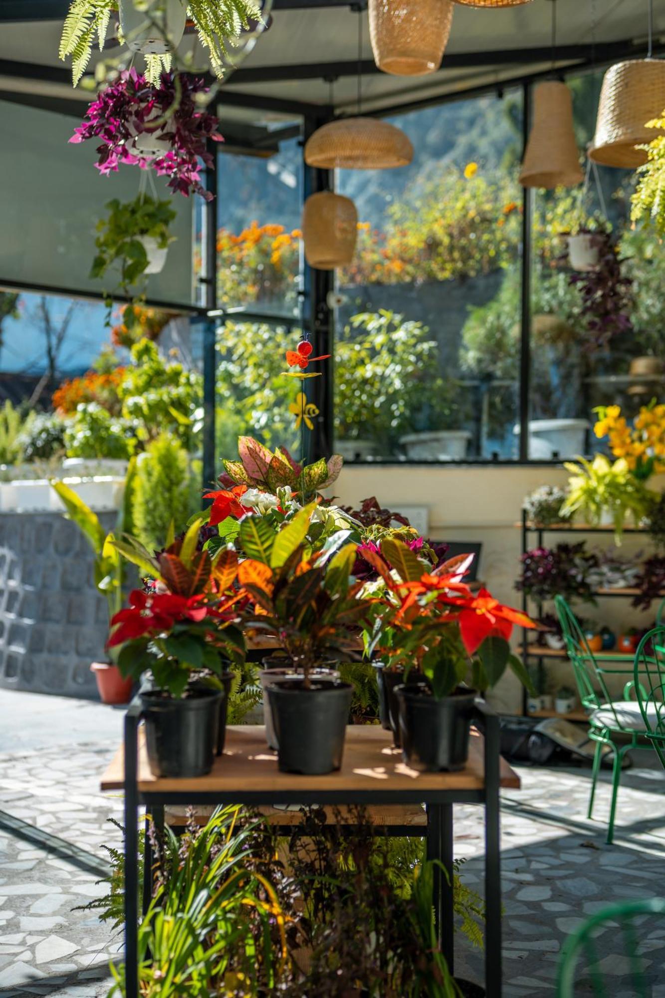 Shervani Hilltop Resort Nainital Dış mekan fotoğraf