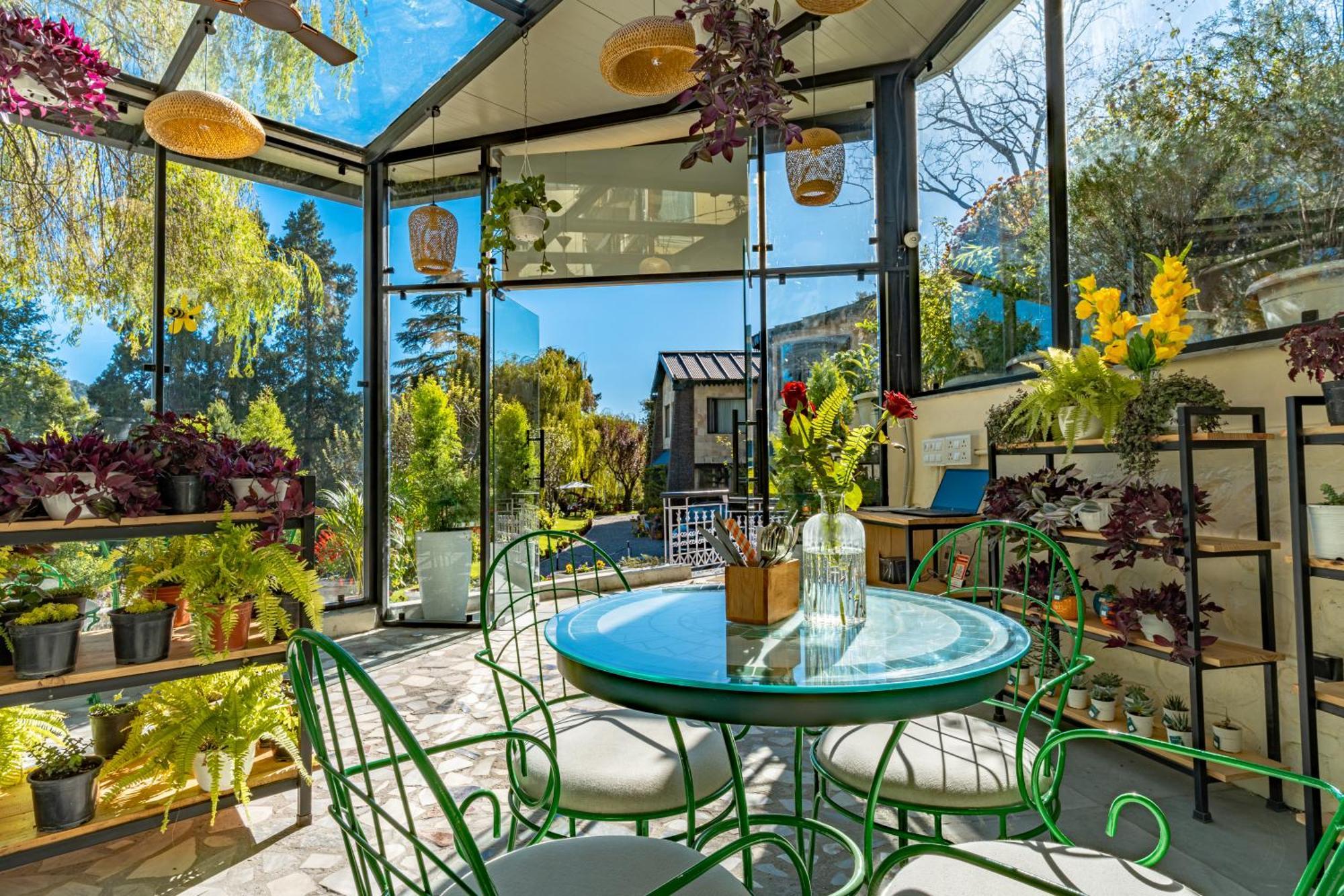 Shervani Hilltop Resort Nainital Dış mekan fotoğraf
