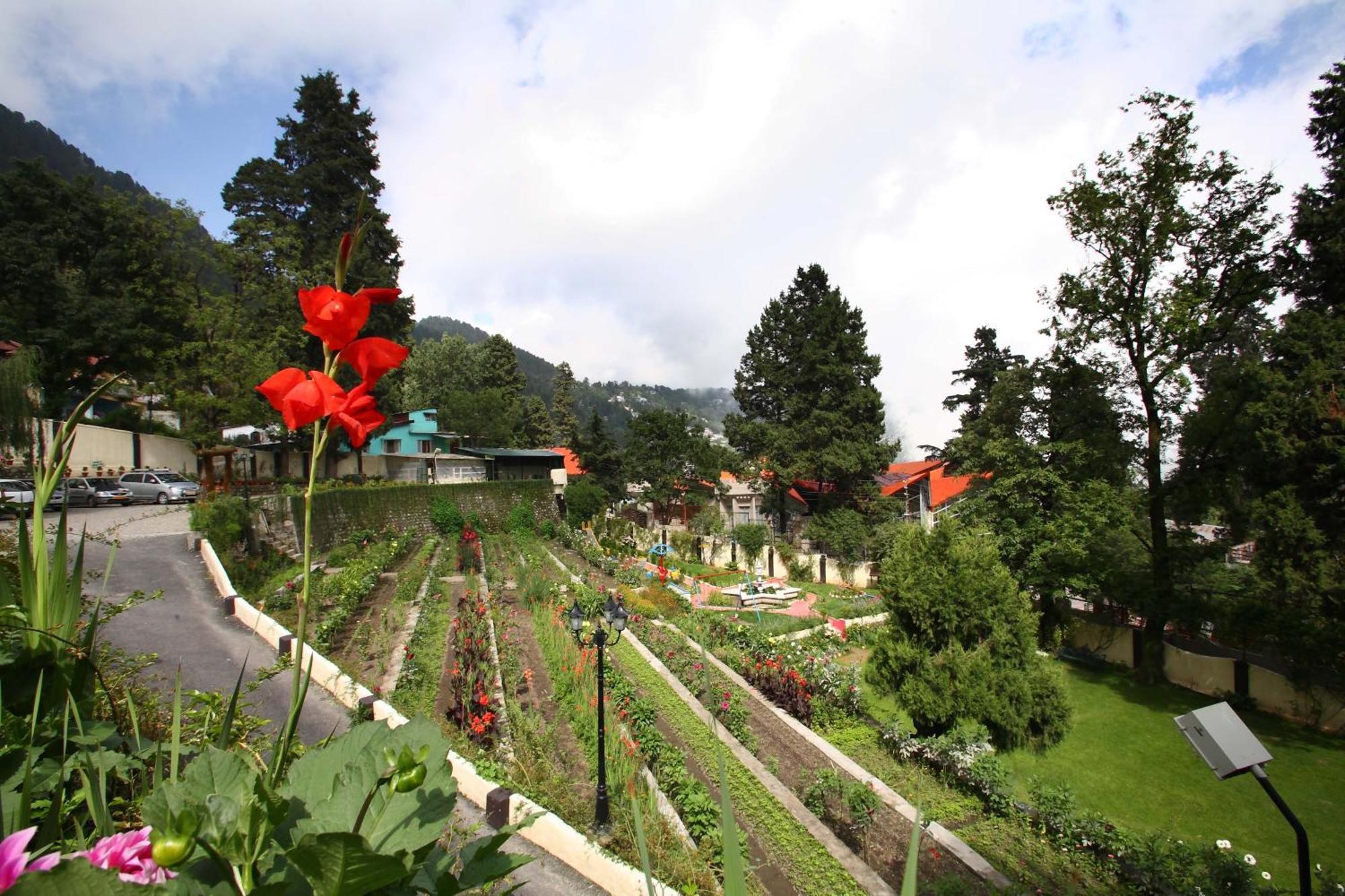 Shervani Hilltop Resort Nainital Dış mekan fotoğraf